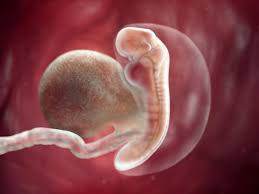 Pin On Photos For Pregnancy Journal