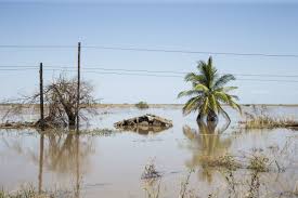 Cyclone idai and floods hit mozambique, malawi and zimbabwe. Ciclone Idai Nossa Resposta Em Mocambique Comite Internacional Da Cruz Vermelha