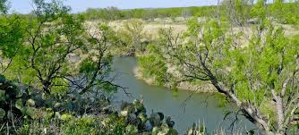 This lovely spot overlooking the concho river has photo opportunities, places to sit and relax and best of all, places for kids to run around and burn off energy after a long car ride. San Angelo State Park Texas Parks Wildlife Department