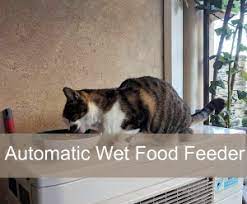 The best auto feeders for wet food require you to insert ice packs every few hours to keep the wet food. Best Automatic Cat Feeder For Wet Food Dry Food Buying Guide Comparison Table