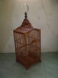 Cara membuat tebokan sangkar lovebird detail tampa ditutup tutupi. Cara Membuat Sangkar Sangkarseven