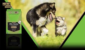 Browse 729 ugly dog stock photos and images available or search for ugly cat or pug to find more great stock photos and pictures. Super Premium Pet Food Dog And Cat Food Victor Pet Food