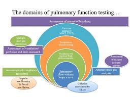 Image result for Lung Function Questionnaire