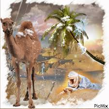 Check spelling or type a new query. La Neige Tombe Sur Le Sahara Picmix