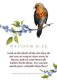 Pin On Producing Spiritual Fruit