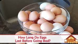 How Long Do Eggs Last Before Going Bad The Happy Chicken Coop