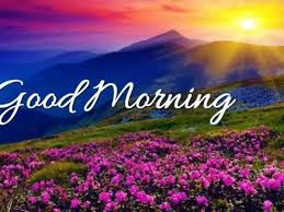 Ultimate Compilation: Best Collection of 999+ Good Morning Images for  WhatsApp - High Resolution 4K Morning Images for WhatsApp