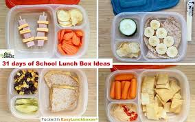 31 Days Of School Lunchbox Ideas Food Cold Lunches Healthy Lunches For Kids