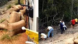 Kota tinggi revenue services centre no. Fenomena Siput Sedut Di Batu Pahat Rupanya Hasil Buangan Masyarakat Jinjang Rezeki Koranglah Isu Semasa Semasa Forum Cari Infonet