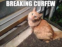Most citizens are of the opinion that a night curfew is of no use. Cornelius Breaking Curfew Memes Gifs Imgflip