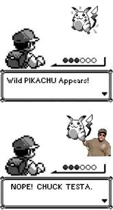 Wild Pikachu Appears