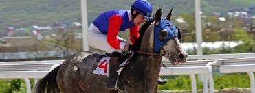 Devenir Jockey Fiche Metier Studyrama