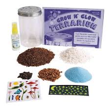 Check spelling or type a new query. Grow Glow Terrarium