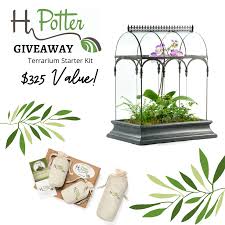 Win Terrarium Starter Kit 325 Value In 2020 Terrarium Starter Kit Glass Enclosure