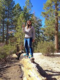 Big sur is not an incorporated town but a region without formal boundaries in california's central coast region. Big Bear Yellow Post Site Fawnskin California Rv Parks Mobilerving Com