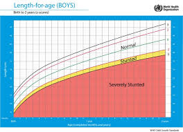 Who therefore requested new fetal growth charts based on multiple populations to be made available for general use and at the same time provide a foundation for the growing initiative to prevent noncommunicable diseases and promote a healthy life course starting before birth. Baby Growth Chart Malaysia Talat