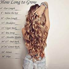 Sunny New Color Balayage Dark Golden Blonde Mixed Blonde Micro Loop Hair Extensions Long Hair Styles Hair Lengths Hair Styles