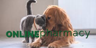 The love that you share with your pet is precious, and they count on you to find a veterinary team you can trust. Northwoods Veterinary Hospital Veterinarian In Athol Idaho