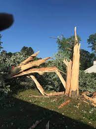 In stanhope there are 1 other tree service. Peterson And Sons Tree Service Home Facebook