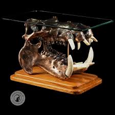 Electroplated Hippo Skull Coffee Table Custom Made Solid Brass Fittings Skullart Taxidermyart Highveldtaxidermists Hunt Skull Art Taxidermy Art Taxidermy