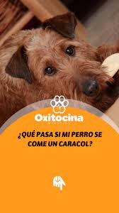 Pin En Salud