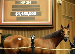 Classy Mares Not the Only Producers at Dixiana