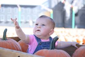 Calendario Del Bebe Nueve Meses