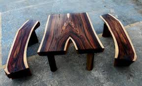 Hasil gambar untuk penyakit lapuk kayu teras
