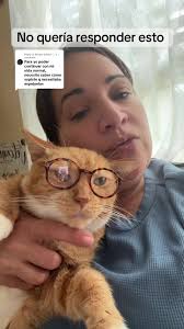 Gato con Espejuelos: La Diversión de un Gato Cool