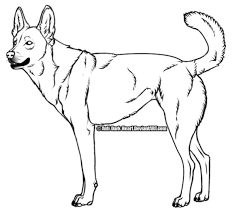 Book Black And White 600 513 Transprent Png Free Download Line Art Wildlife Dog Cleanpng Kisspng Download your free tutorials on drawing for beginners today! book black and white 600 513 transprent