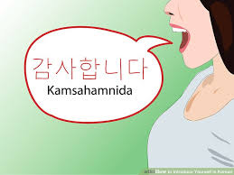 Jeoneun (저는) means i'm in korean language. How To S Wiki 88 How To Introduce Yourself In Korean