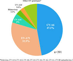 Newly Emerged Enterovirus A71 C4 Sublineage May Be More Virulent Than B5 In The 2015 2016 Hand Foot And Mouth Disease Outbreak In Northern Vietnam Scientific Reports