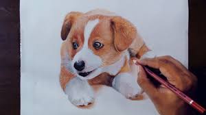Drawing Animals 2 Drawing A Puppy Colored Pencils Animal Drawings Drawings Pencil Drawings Of Animals