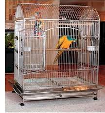 Bird Cage For Sale Cheap Hand Fed Baby Birds And Parrots For Sale Bird Breeders African Grey Cockatoos Yellow Nape Amazons Large Bird Cages Stainless Steel Bird Cage Parrot