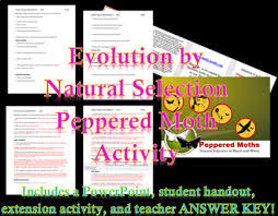 Building a business when there are no easy answers. Natural Selection Peppered Moth Worksheets Teaching Resources Tpt
