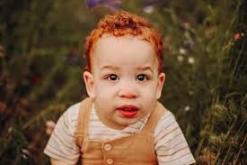 Sunflower field photo sessions in Belews Creek