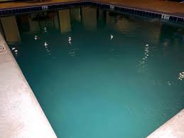 East carolina pool & spa. Pool So Dirty And Green That You Could Not See The Bottom And Poorly Lit A Dangerous Situation Picture Of Comfort Suites New Bern Tripadvisor