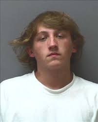 Arrests made in burglaries, thefts