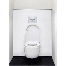 Vous pourrez par exemple envisager un habillage du wc suspendu sur mesure ou bien choisir un habillage prêt à l'emploi ce qui est souvent moins coûteux et plus facile à mettre en oeuvre. Habillage Decoratif Bati Wc Decofast Elegance Blanc Satine