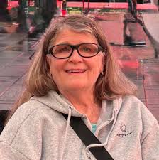 Tips for introducing a sphynx kitten to other pets?