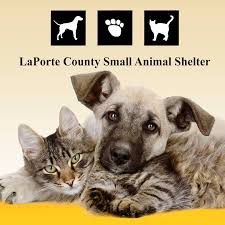 Maybe you would like to learn more about one of these? Laporte County Small Animal Shelter Visit Michigan City Laporte