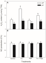 72 hız 60 tps 62 pas. Biomolecules Free Full Text Effects Of Jasmonic Acid In Er Stress And Unfolded Protein Response In Tomato Plants Html