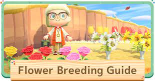 In this guide, we'll explain how flowers work and the colors you can get from crossbreeding and pollinating with cosmoses, hyacinths, lilies, mums, pansies, roses, tulips, and windflowers. Animal Crossing Flower Breeding Guide How To Get Hybrid Flowers Acnh Gamewith
