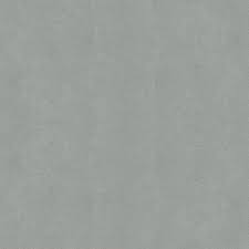 Image result for Brite Silver 1982 Dodge