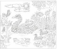 This coloring page is perfect for celebrating. This Will Print On 11x17 Just As Nice As 8 5x11 Bird Coloring Pages Coloring Pages Coloring Pages To Print