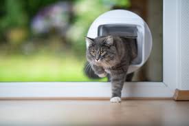All sliding glass doors feature one door that gently glides past the other, offering access to the outdoors. Installing A Pet Door 5 Things To Know First Bob Vila