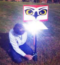 Wind Powered Bird Scarer Ground Mounted Flashing Hawkeye