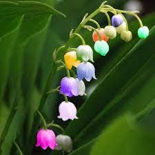 Pin On Flower Pots