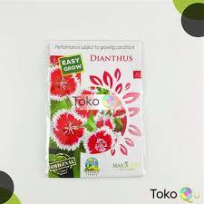 7 rekomendasi bibit bunga terbaik yang bisa ditanam di rumah. Jual Benih Bibit Bunga Dianthus Anyelir Carnation Maica Leaf Terbaru Juni 2021 Blibli
