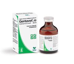 Gentavet 10 Antibiyotikler Vetrehberi